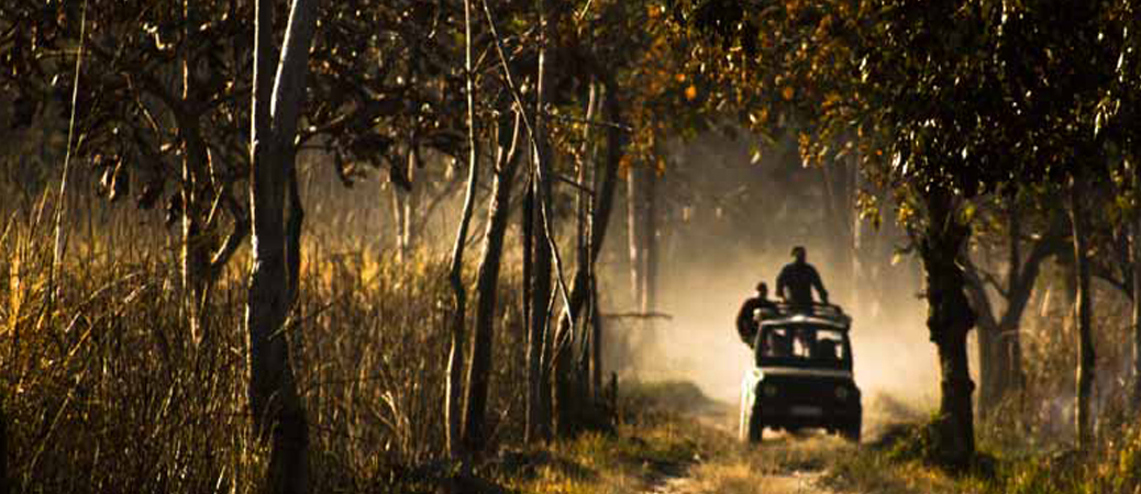 jeep-safari