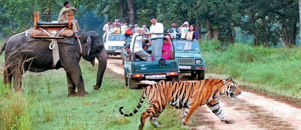 jim-corbett