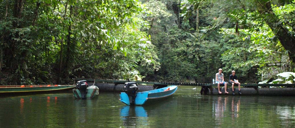 malaysianrainforests