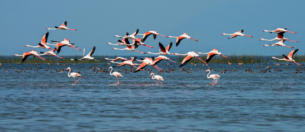 Satapada Chilika Lake